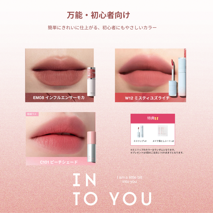 【Shopify限定】人気リップセット　